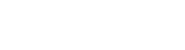 anae_logo_complet_horizontal@4x-8